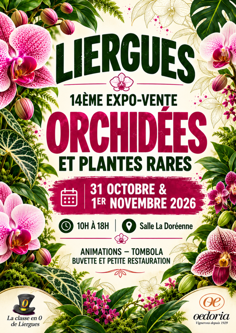 exposition de liergues 2026